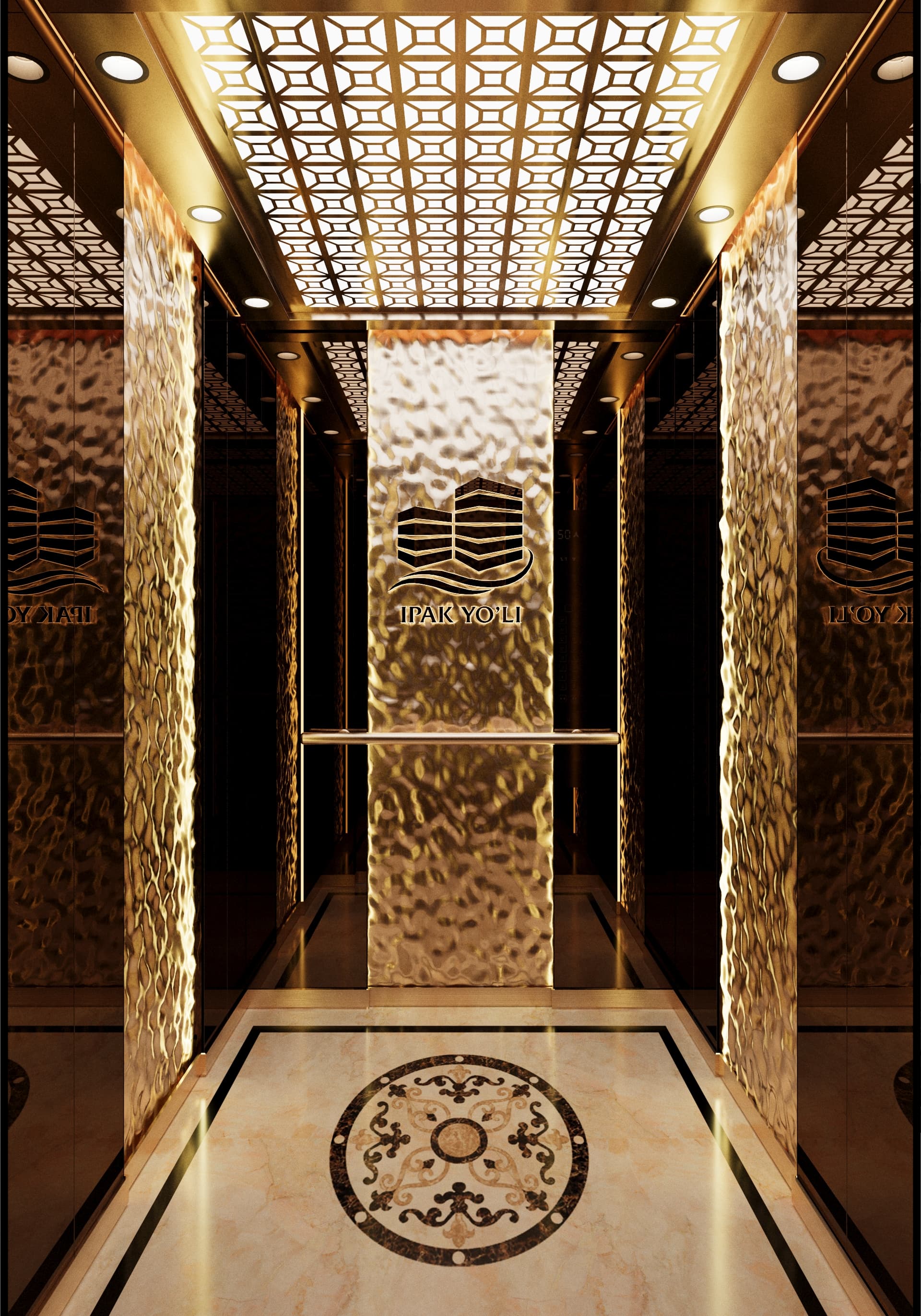 tlz-sp5 maxsus lift dizayn, mahsus charm panel, zanglamaydigan po'lat konstruktsiya, MDF panel