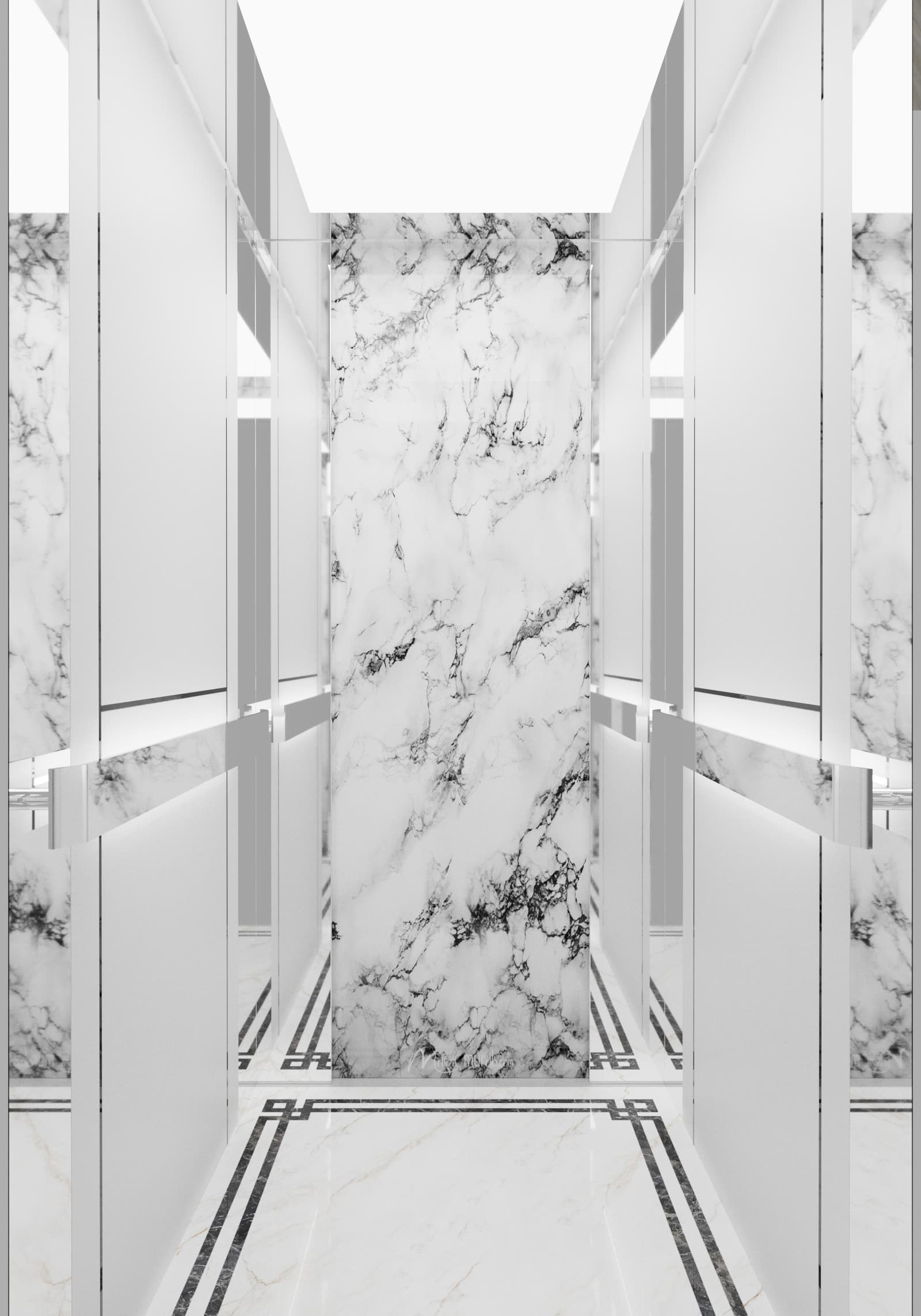 tlz-sp8 maxsus oltin rang lift dizayn, mahsus charm panel, zanglamaydigan po'lat konstruktsiya, MDF panel